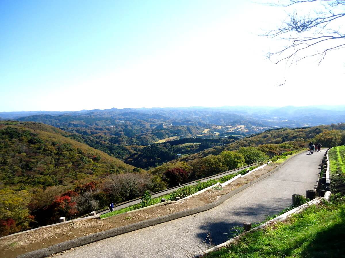 移住先での人間関係