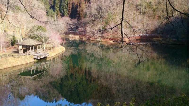 移住先でできること