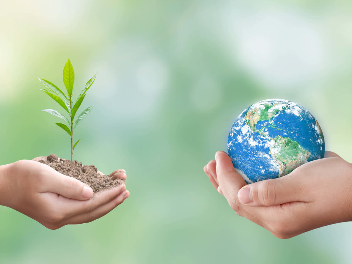 苗を持つ手と地球を持つ手